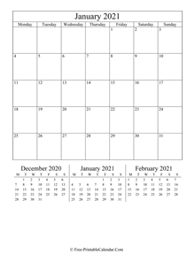 2021 calendar january portrait