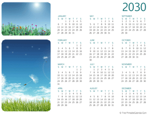 2030 photo calendar